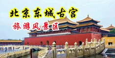 啊啊啊插的好深不要了视频中国北京-东城古宫旅游风景区
